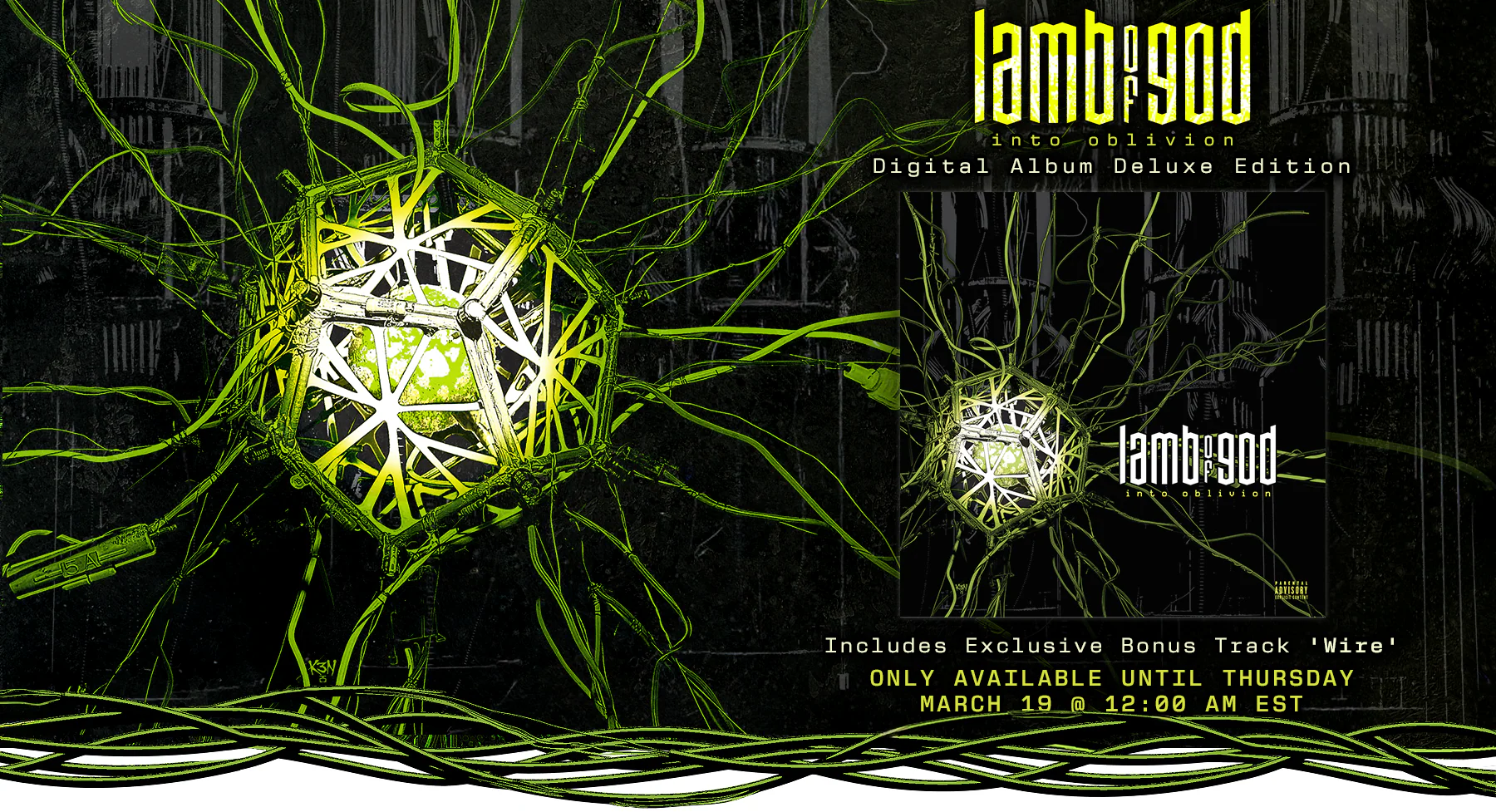 Welcome to Our Store